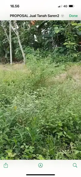 Dijual tanah kebun dan pekarangan