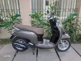 Honda Scoopy donuts tahun 2020.