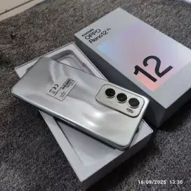 OPPO Reno 12 5G 12/256Gb