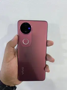 vivo V50 5G 12/512