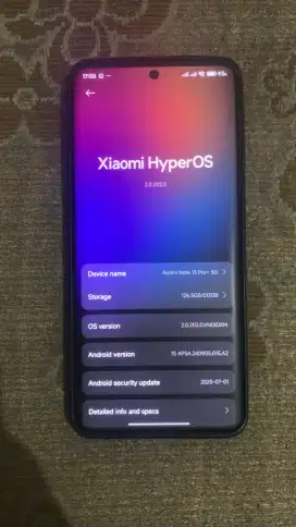 Xiaomi Redmi Note 13 Pro+ 12/512