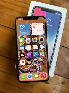 Iphone X 256Gb All Operator No Minus