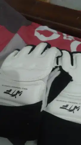 Hand Glove / Sarung Tangan Taekwondo
