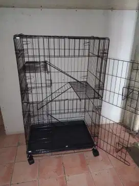 Kandang kucing baru