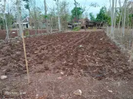 Tanah di Semanu 11 menit ke UNY