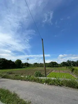 DIJUAL TANAH DARAT