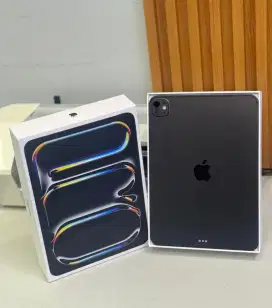 IPad Pro M4 256Gb 11 BH 100%
