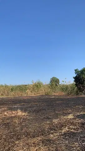 Tanah di Cigasong Majalengka dekat dengan rencana pembangunan kota