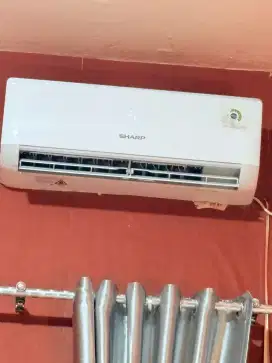 Ac sharp 1/2 pk