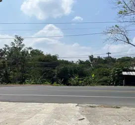 Jual Tanah Jalan Raya Nasional Semarang Solo,  Tanduk Ampel Boyolali