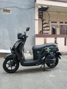 fazzio 2024 Akhir pajak hidup
