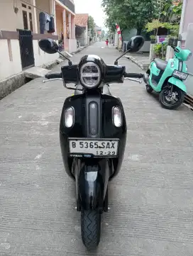 fazio thn 2024 pajak hidup panjang