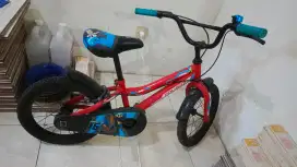 Sepeda Anak Poligon Rascal