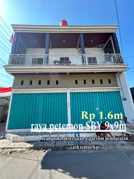 Ruko raya Petemon