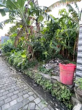 Tanah 2 are sudah SHM utk Villa di Buduk