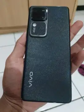 Vivo v30 ram 8/256