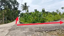 Jual tanah di Dlingo Bantul (tanpa perantara) 1773 M2 SHM