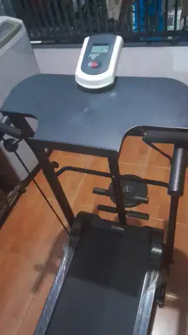 Treadmill Red Panda