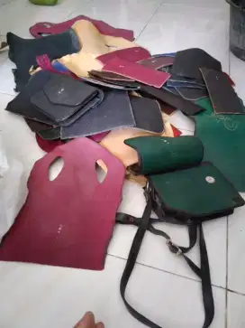 Kulit ikan pari