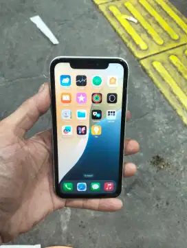 iPhone XR 64 GB inter