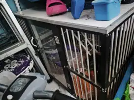 Kandang kucing marmer, aluminium dan kaca