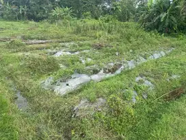 DI JUAL SAWAH PERTANIAN