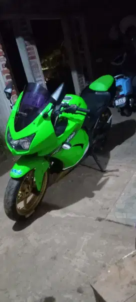 Ninja karbu 2010