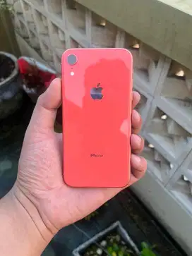 Iphone Xr 64 Gb