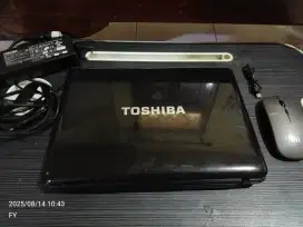Notebook Toshiba T110