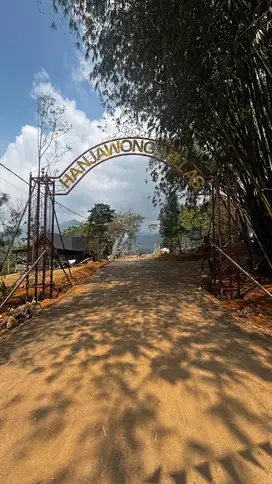 Tanah murah di bogor rimur