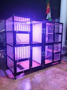 Kandang Kucing Aluminium 4 Pintu Preloved BSH Scottish Persia Himalaya