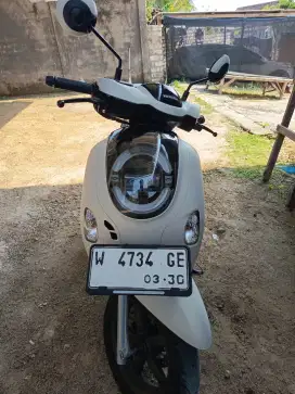 Honda Scoopy 2025