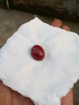 Batu akik ati ayam/ red jasper istimewa