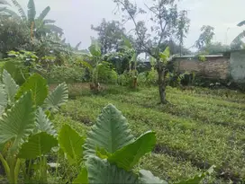 Dijual Cepat Tanah SHM LT 330m² Harjamukti, Kota Cirebon