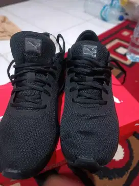 Sepatu Puma Accent New Original uk 42.5