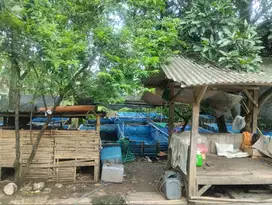 Dijual Cepat Tanah SHM LT 330m² Harjamukti, Kota Cirebon
