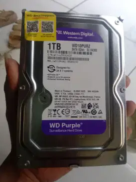 Jual Hardisk Baru 1 TB WD Surveilance Murah