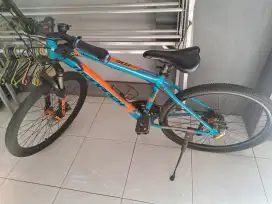 Sepeda Polygon Monarch M3