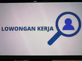 Lowongan supir pribadi