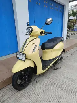 Yamaha grand filano 2024
