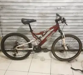 MTB Polygon Heron 24