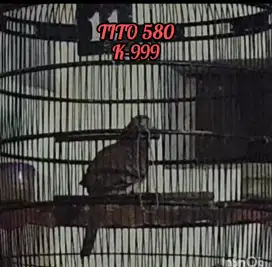 PERKUTUT BANGKOK