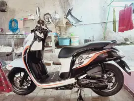 Scoopy fi full orisinil