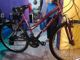 Sepeda murah 26 inc polygon