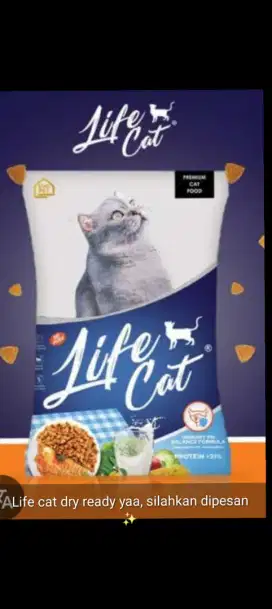 Pakan kucing kering