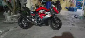 Kawasaki ninja mono 2019