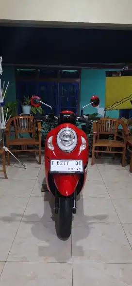 Honda Scoopy Donat New 2024