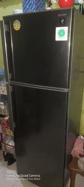 KULKAS Sharp 2 pintu JUMBO