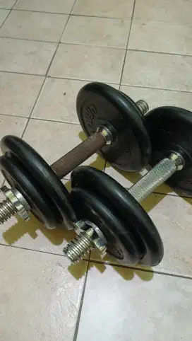 dumbell ace hardware