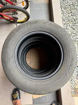 Ban Bridgestone Ecopia